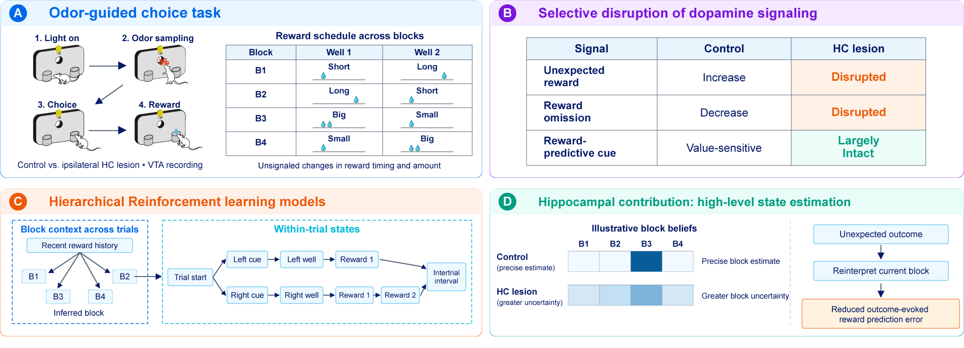Odor-guided choice task, effects of hippocampal lesions on VTA dopamine responses, and hierarchical reinforcement learning models of block-state estimation.